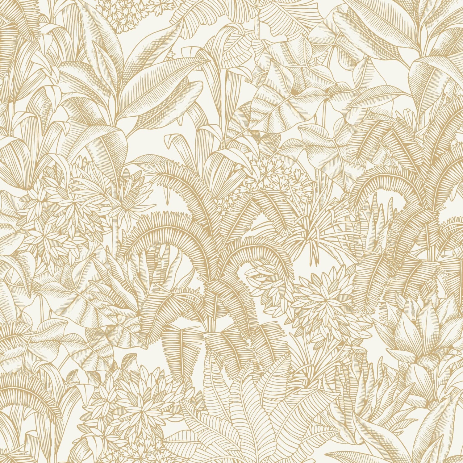 Palmaris Wallpaper
