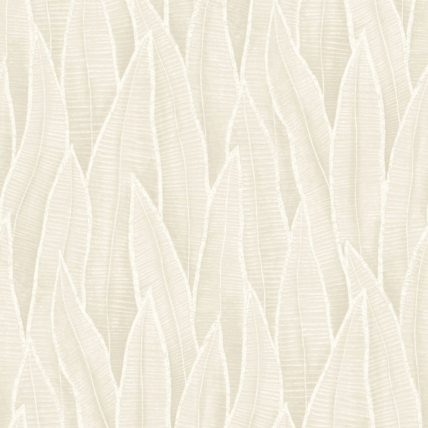 Succulent Leaves Wallpaper