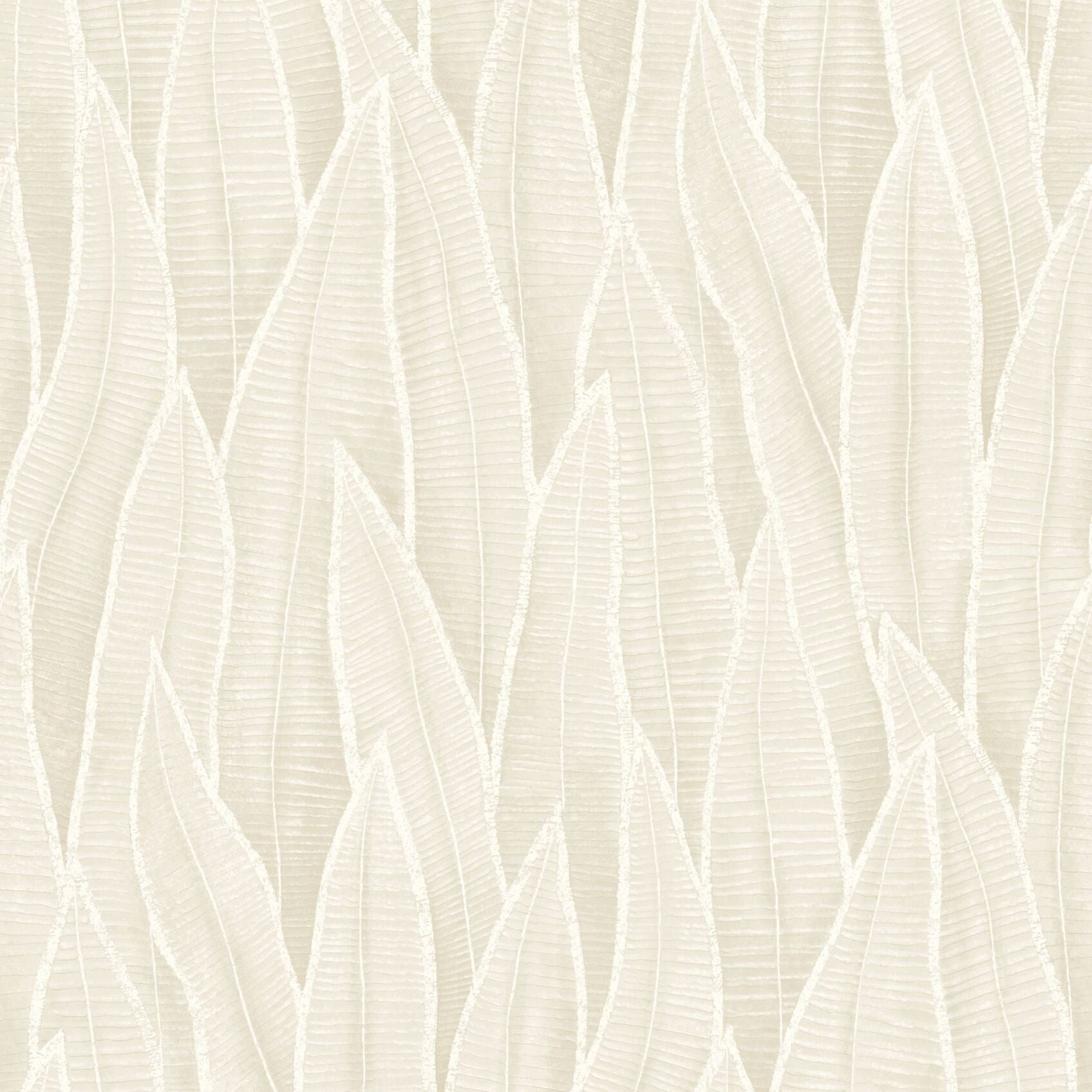 Succulent Leaves Wallpaper