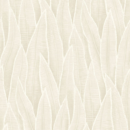 Succulent Leaves Wallpaper