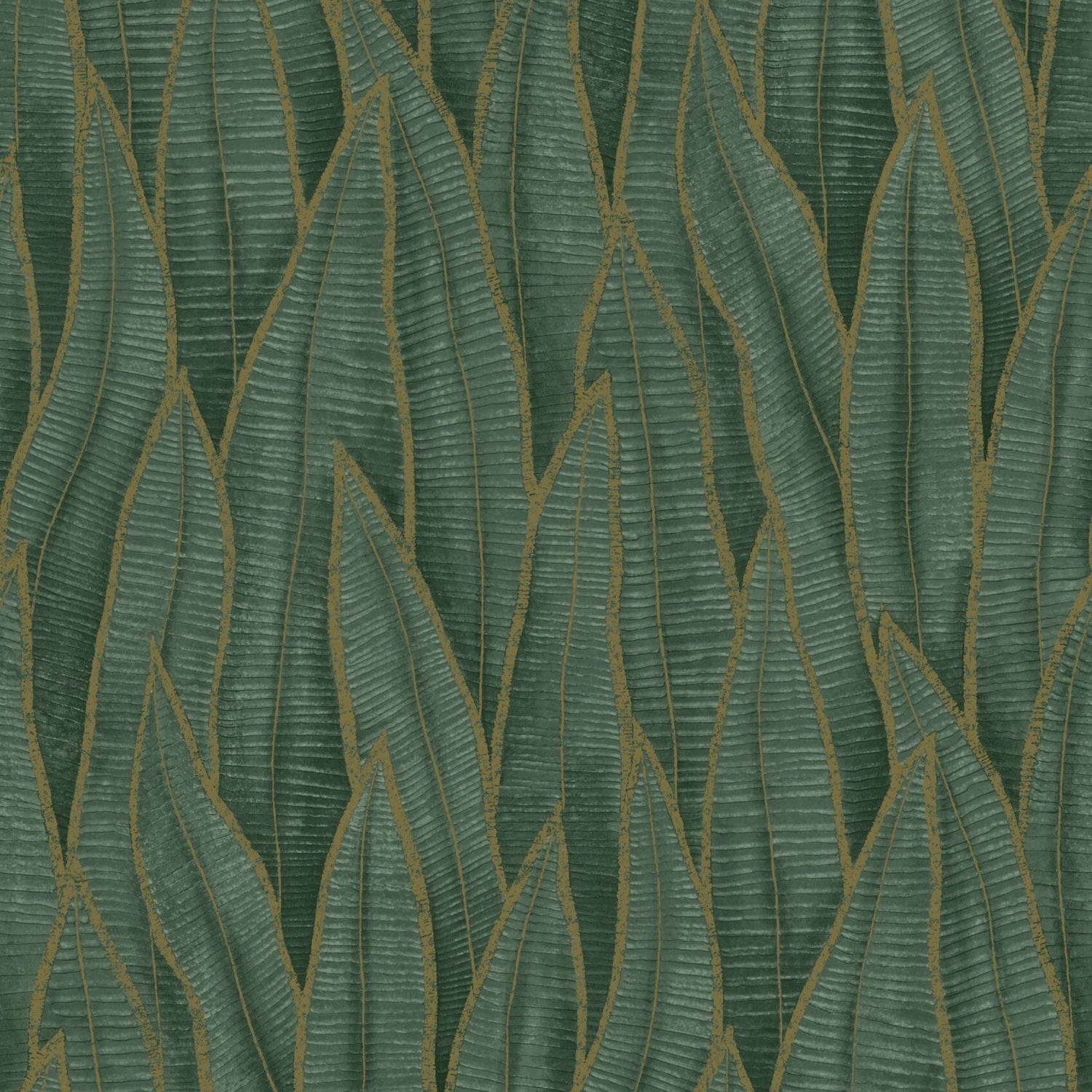 Succulent Leaves Wallpaper