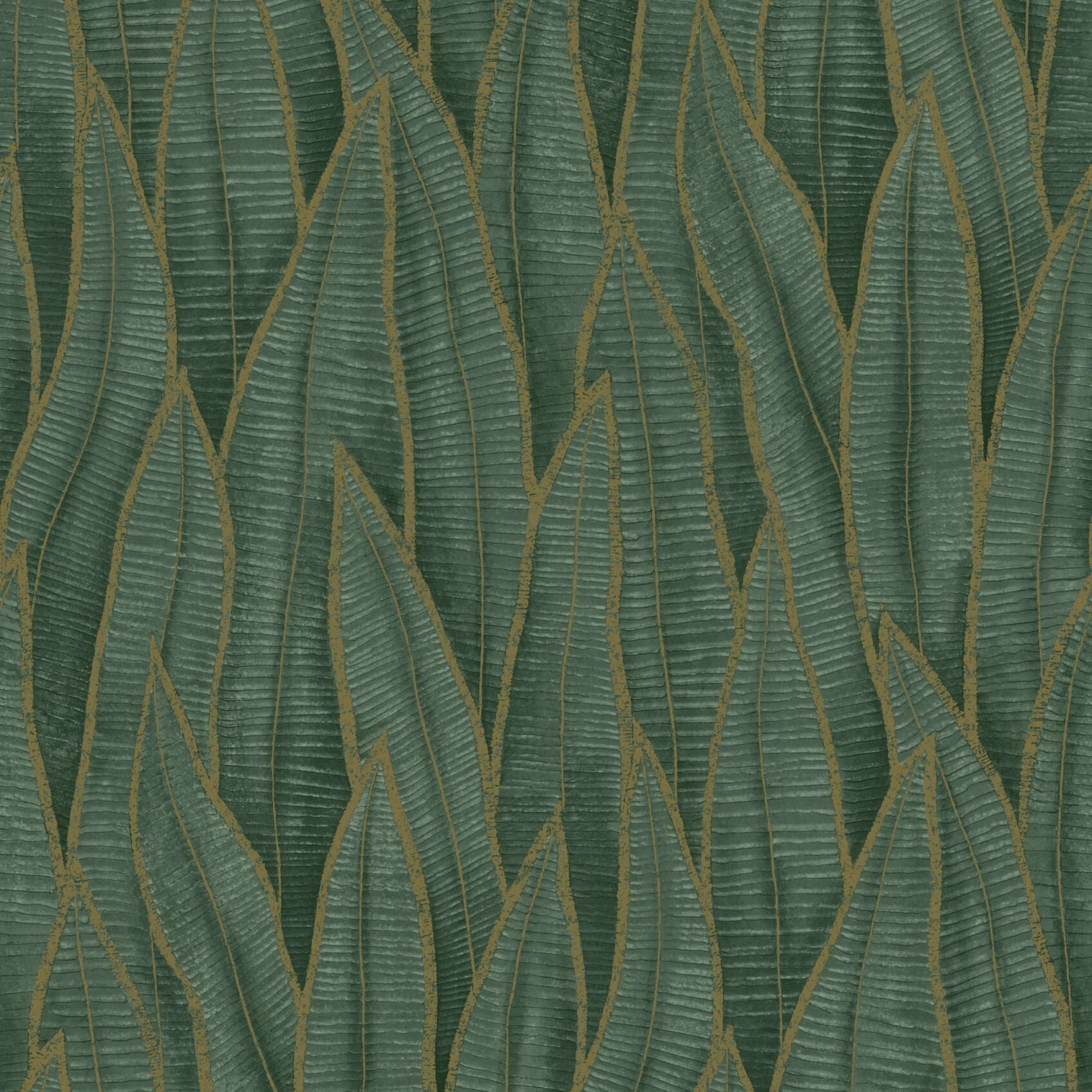 Succulent Leaves Wallpaper