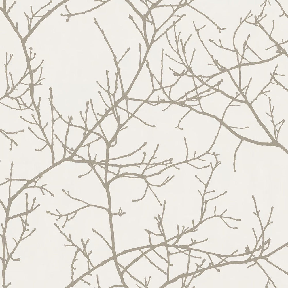 Arbre Branch Wallpaper