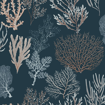 Corail Wallpaper