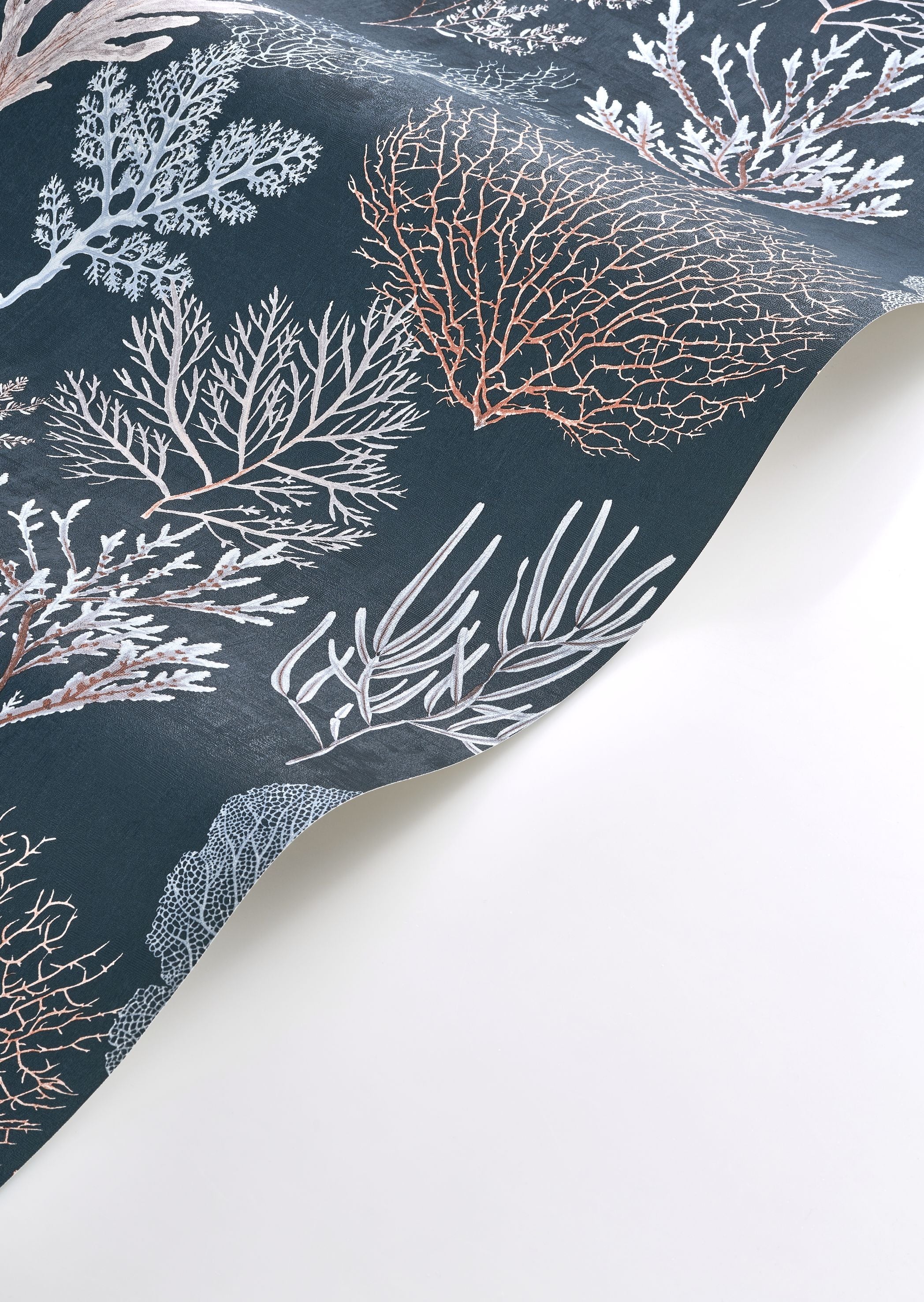Corail Wallpaper