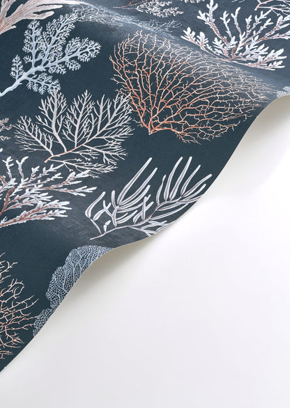 Corail Wallpaper