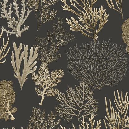 Corail Wallpaper