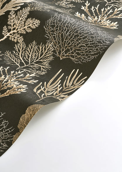 Corail Wallpaper