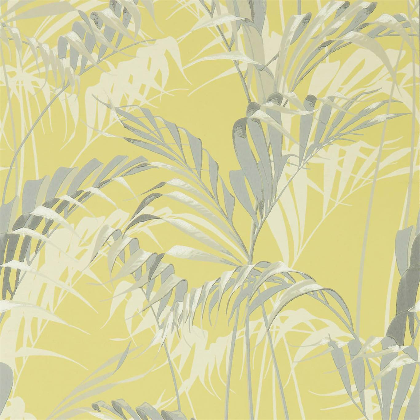 Palm House Wallpaper