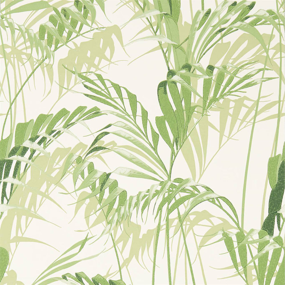 Palm House Wallpaper