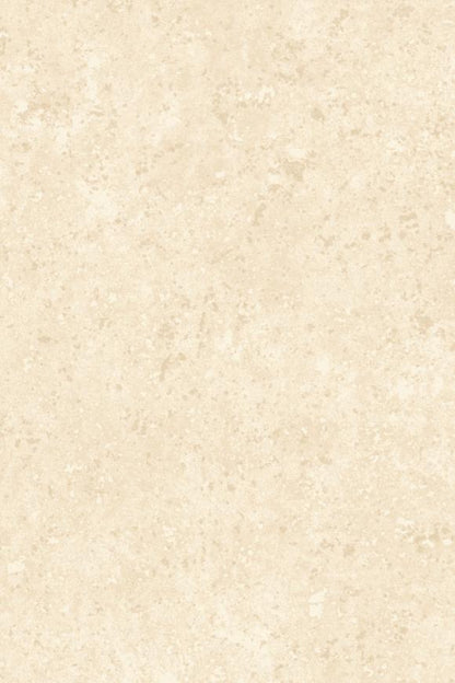 Calcaire Stucco Wallpaper by Arte