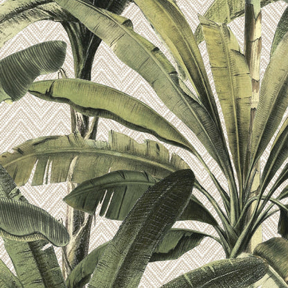 Palmera Wallpaper