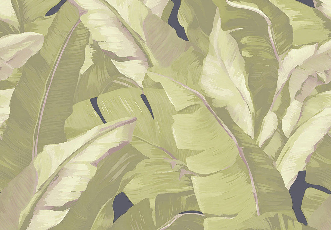 Encanto Leaves Wallpaper