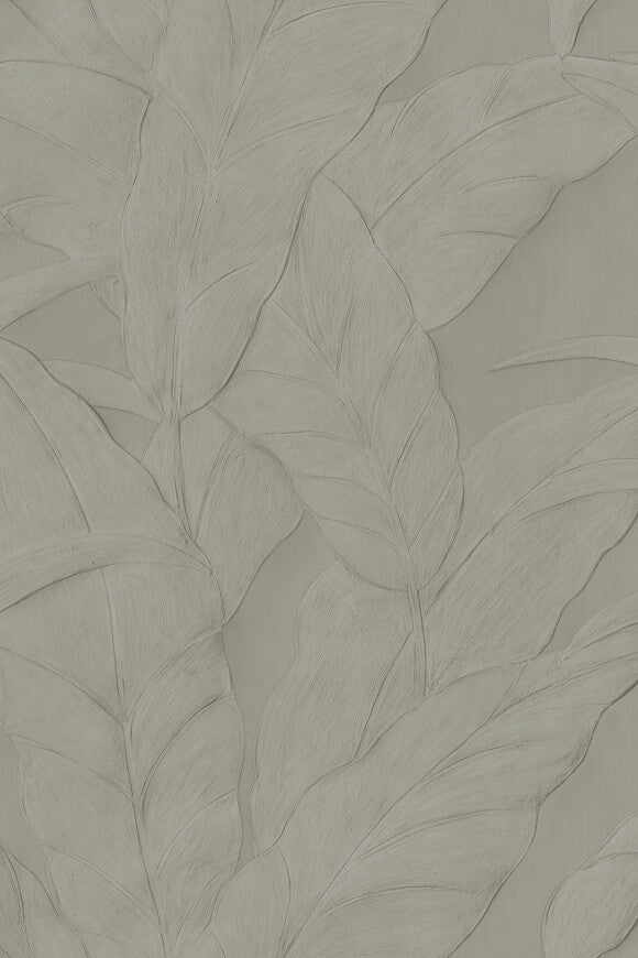 Musa Wallpaper by Arte