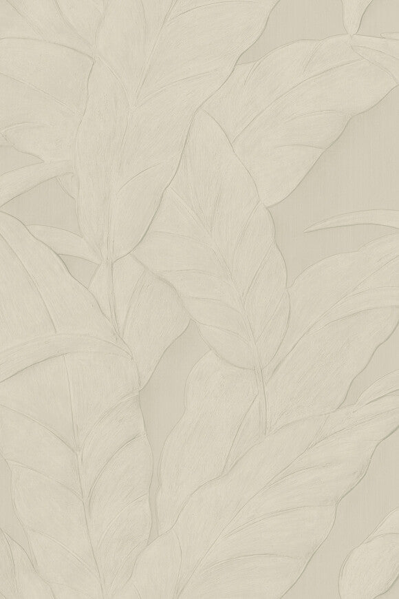 Musa Wallpaper by Arte