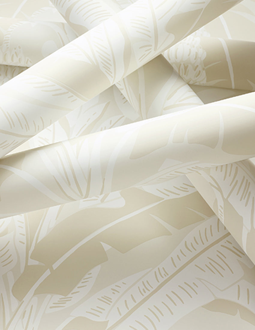 Banana Tree - Palm Grove - Wallpaper