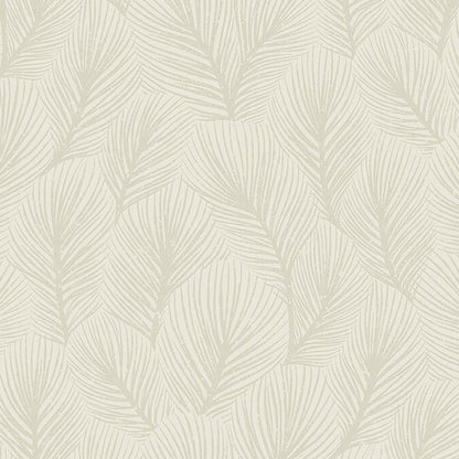 Pine Tree Wallpaper