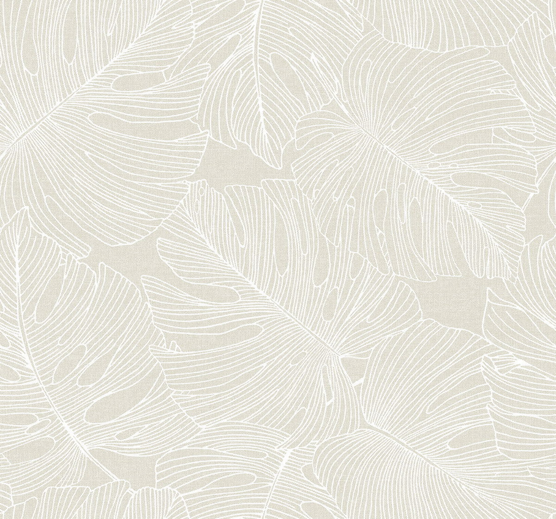 Tarra Monstera Leaf Wallpaper