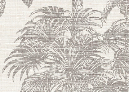 Amazzonia Palm Wallpaper