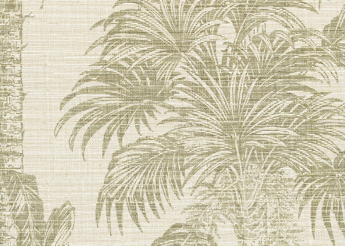 Amazzonia Palm Wallpaper