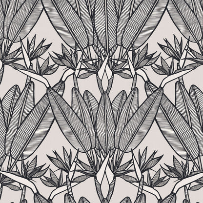 Strelitzia Tropical Wallpaper