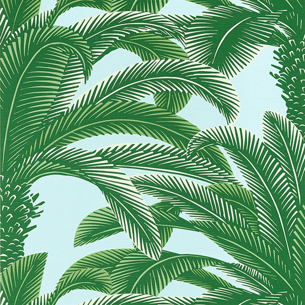 Queen Palm - Palm Grove - Wallpaper