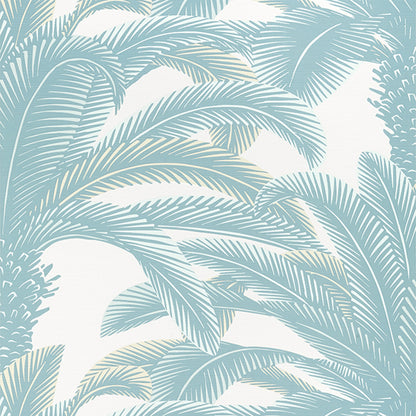 Queen Palm - Palm Grove - Wallpaper