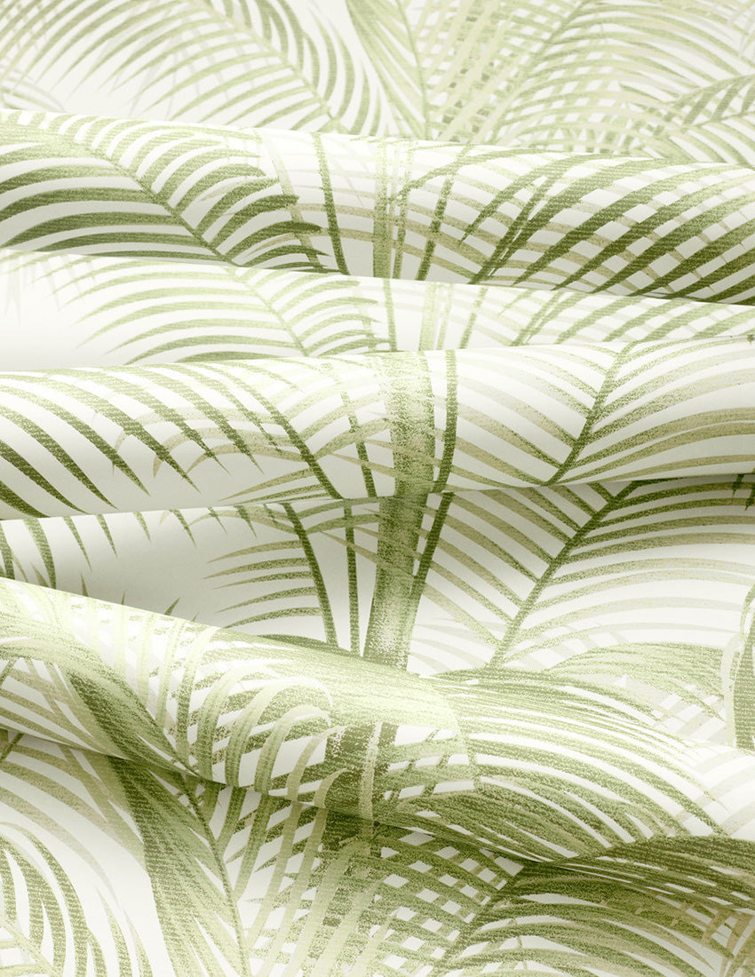 Delray - Palm Grove - Wallpaper