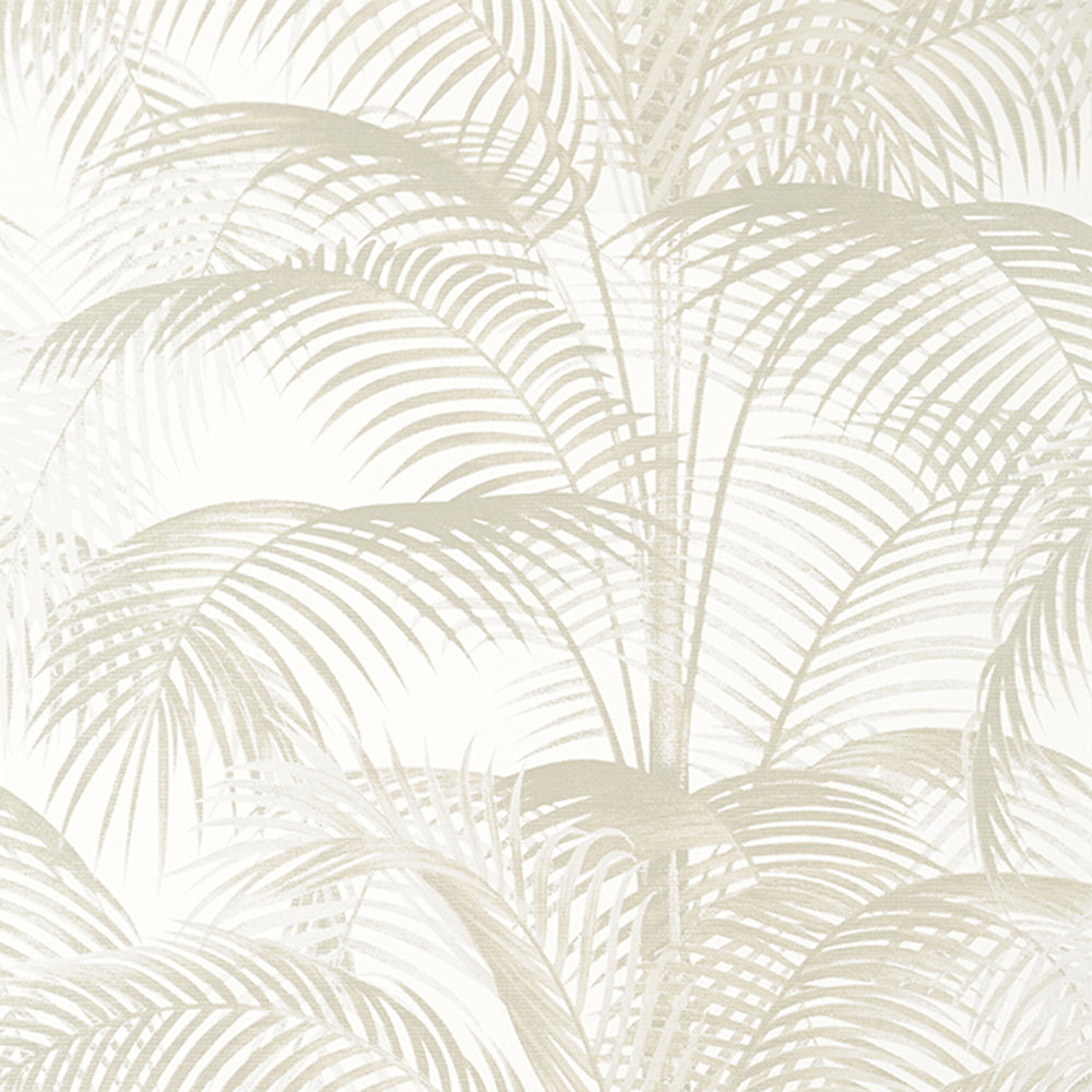 Delray - Palm Grove - Wallpaper