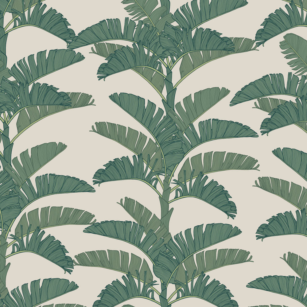 Tropical Plantation Wallpaper