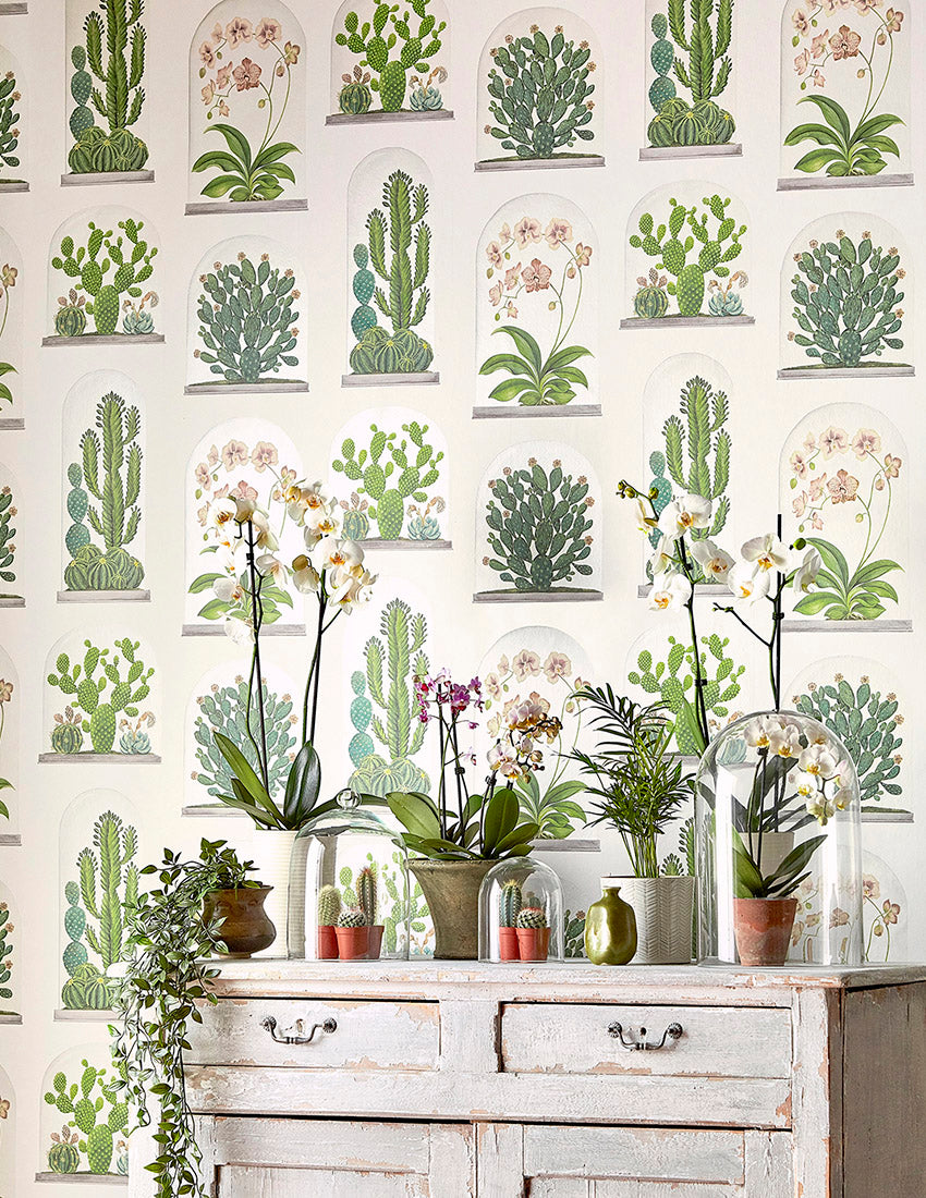Terrariums Wallpaper – Wallpaper Lane
