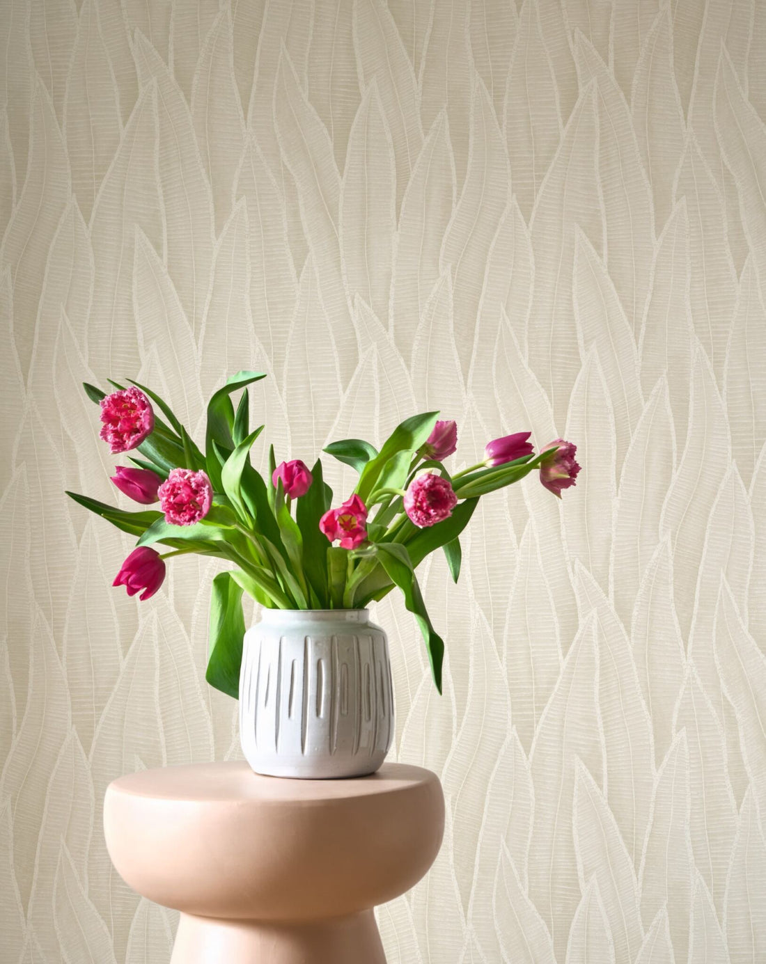 Succulent Leaves Wallpaper