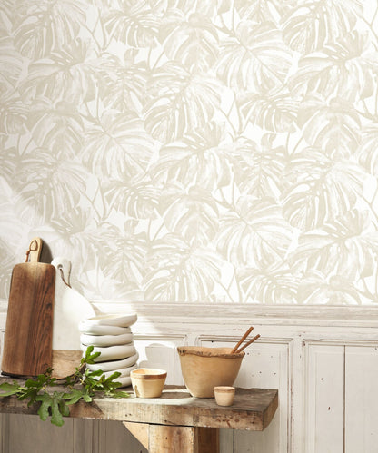 Mata Monstera Wallpaper