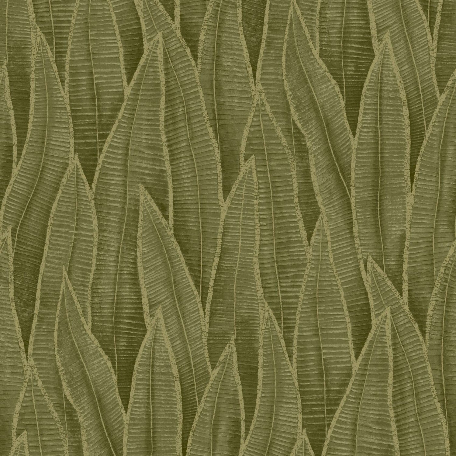 Succulent Leaves Wallpaper