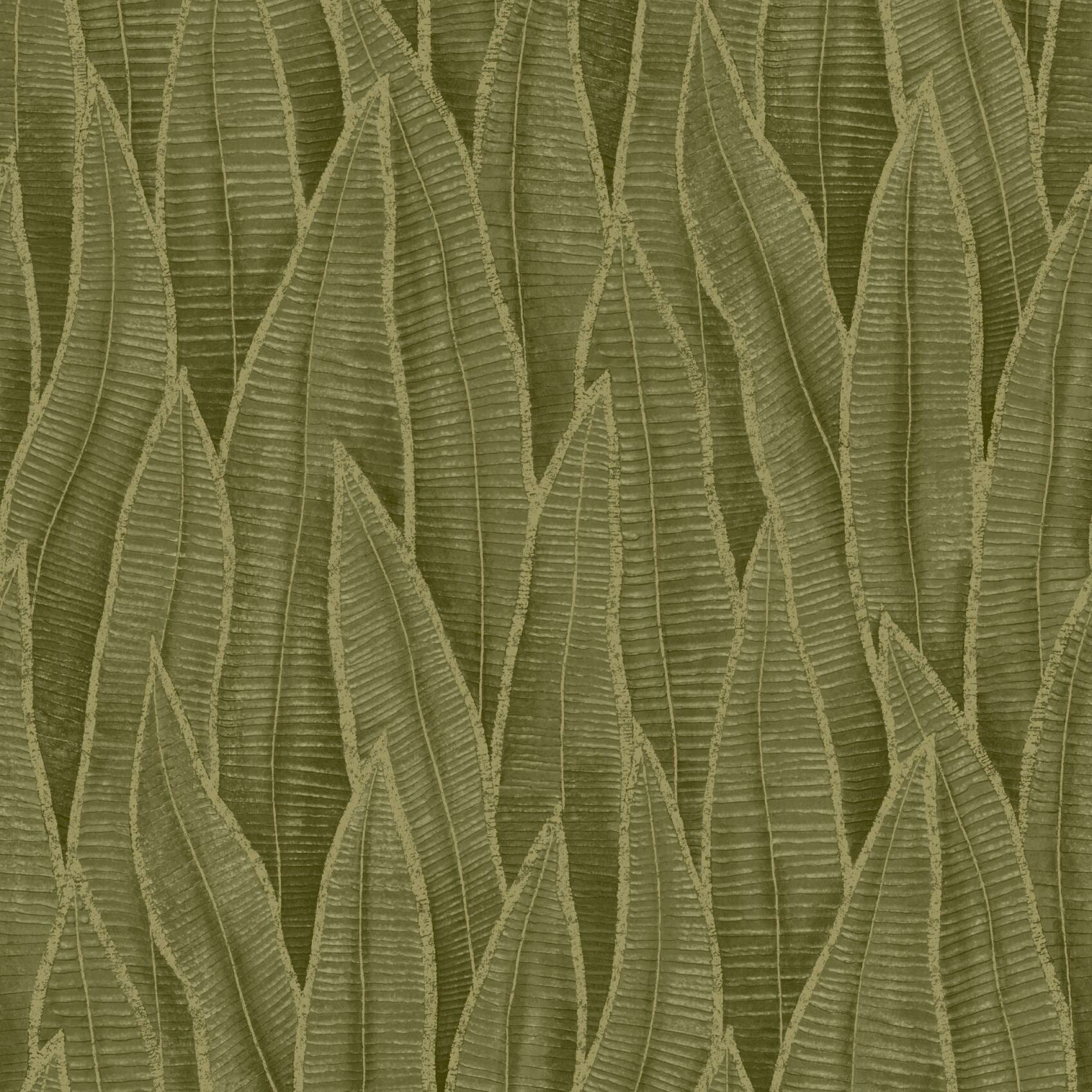 Succulent Leaves Wallpaper