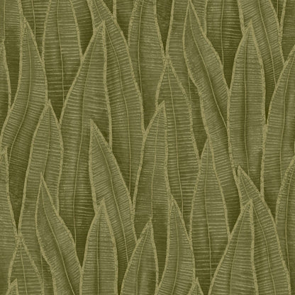 Succulent Leaves Wallpaper