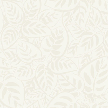 Caluna Leaf Wallpaper