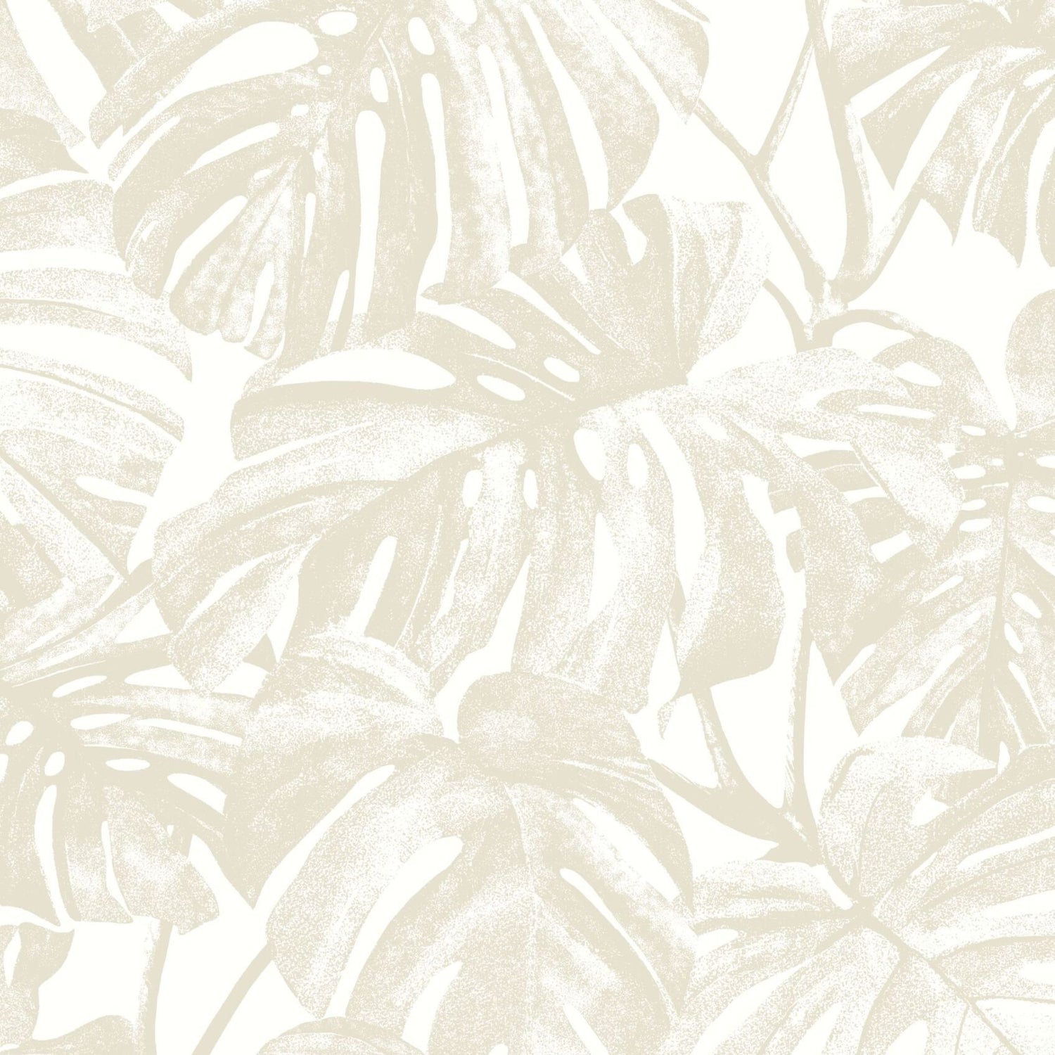 Mata Monstera Wallpaper