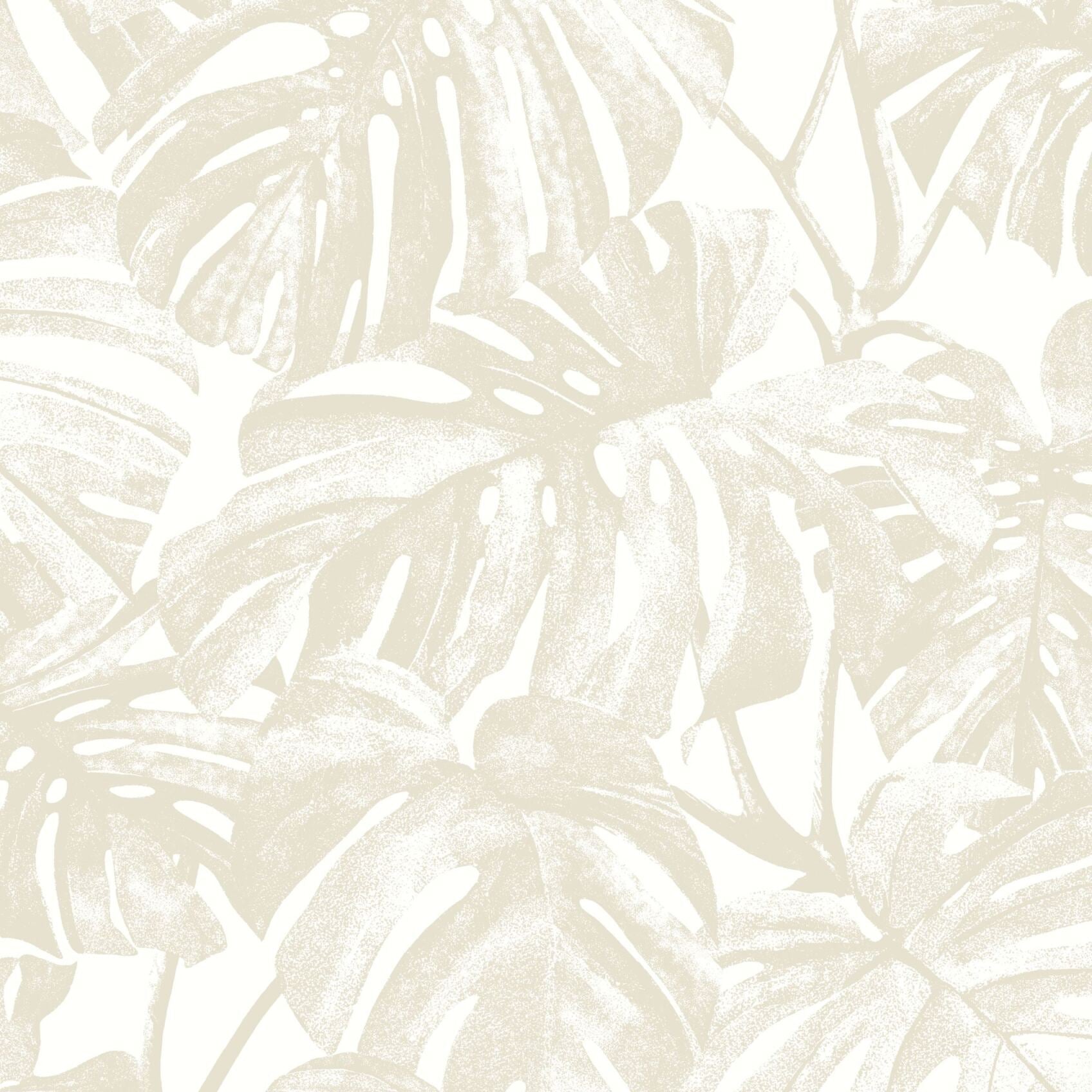 Mata Monstera Wallpaper