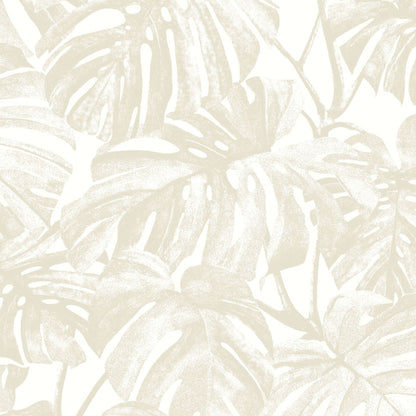 Mata Monstera Wallpaper