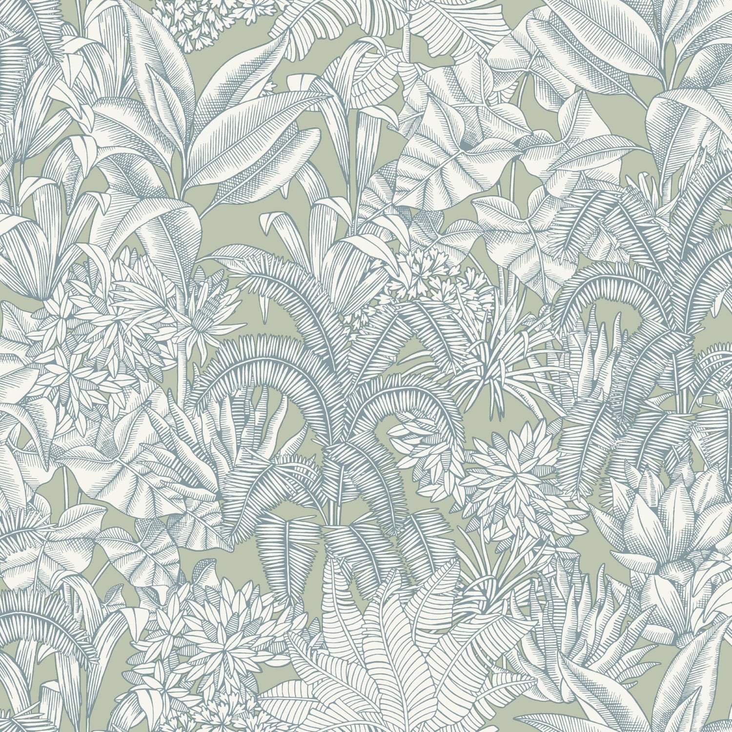 Palmaris Wallpaper