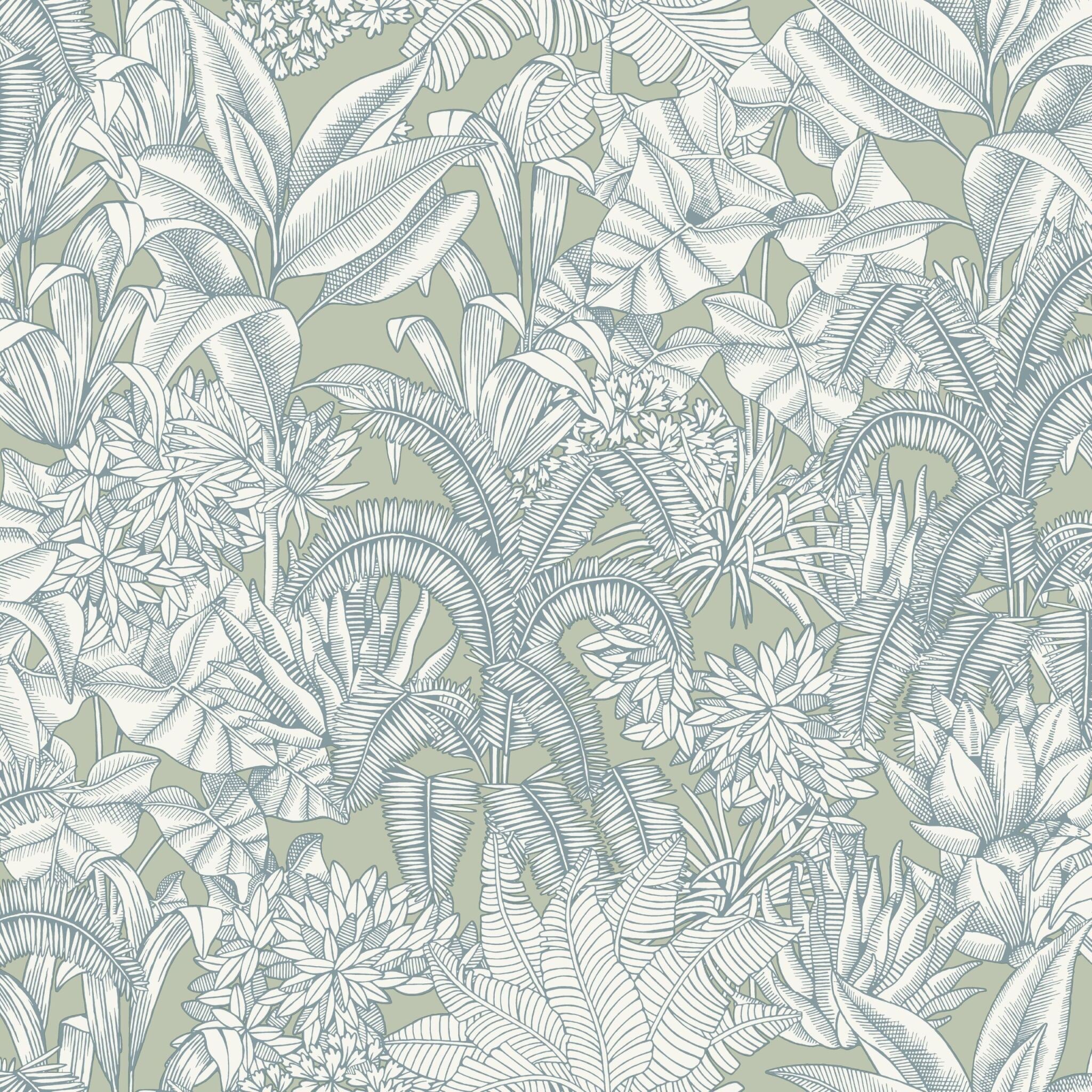 Palmaris Wallpaper