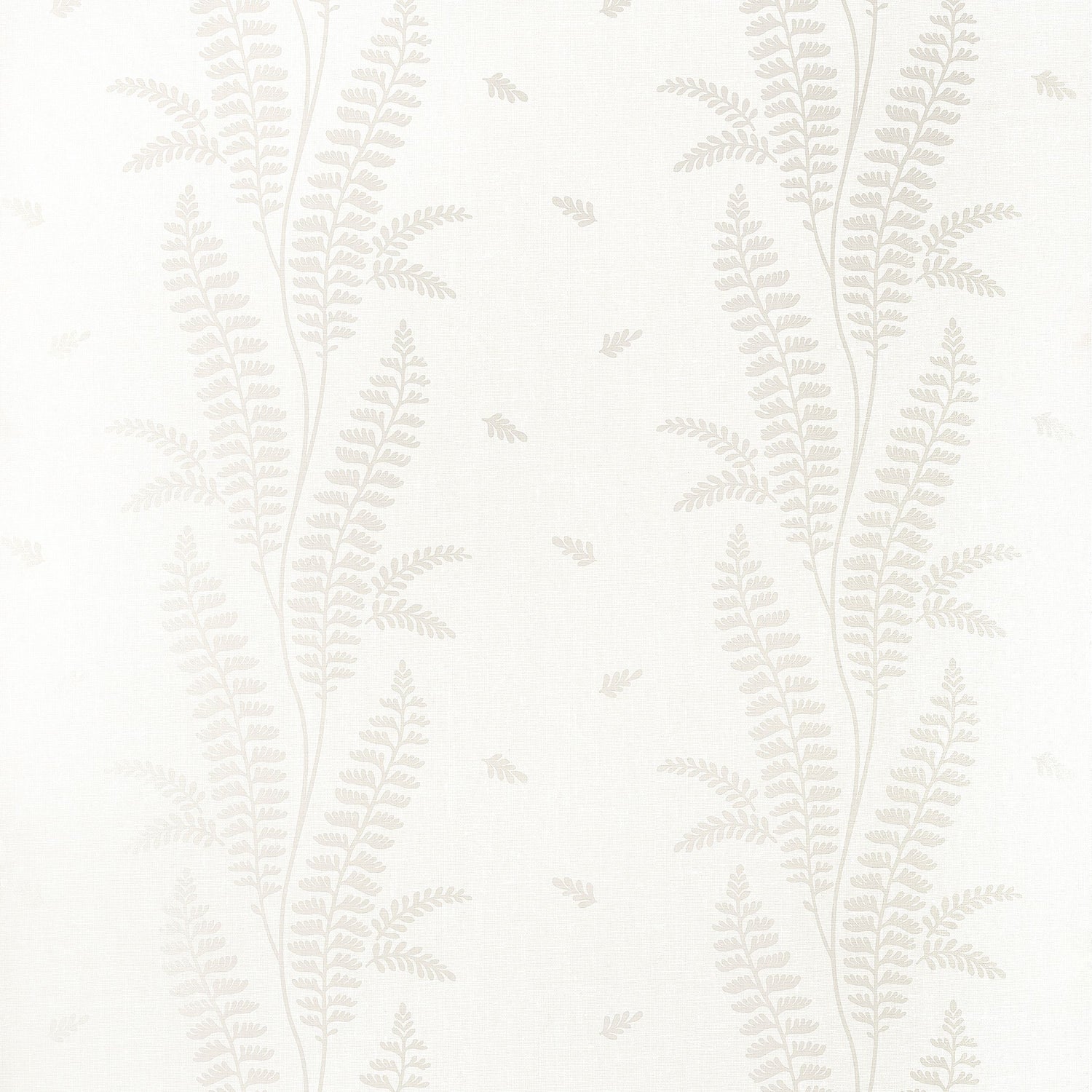 Ensbury Fern Wallpaper