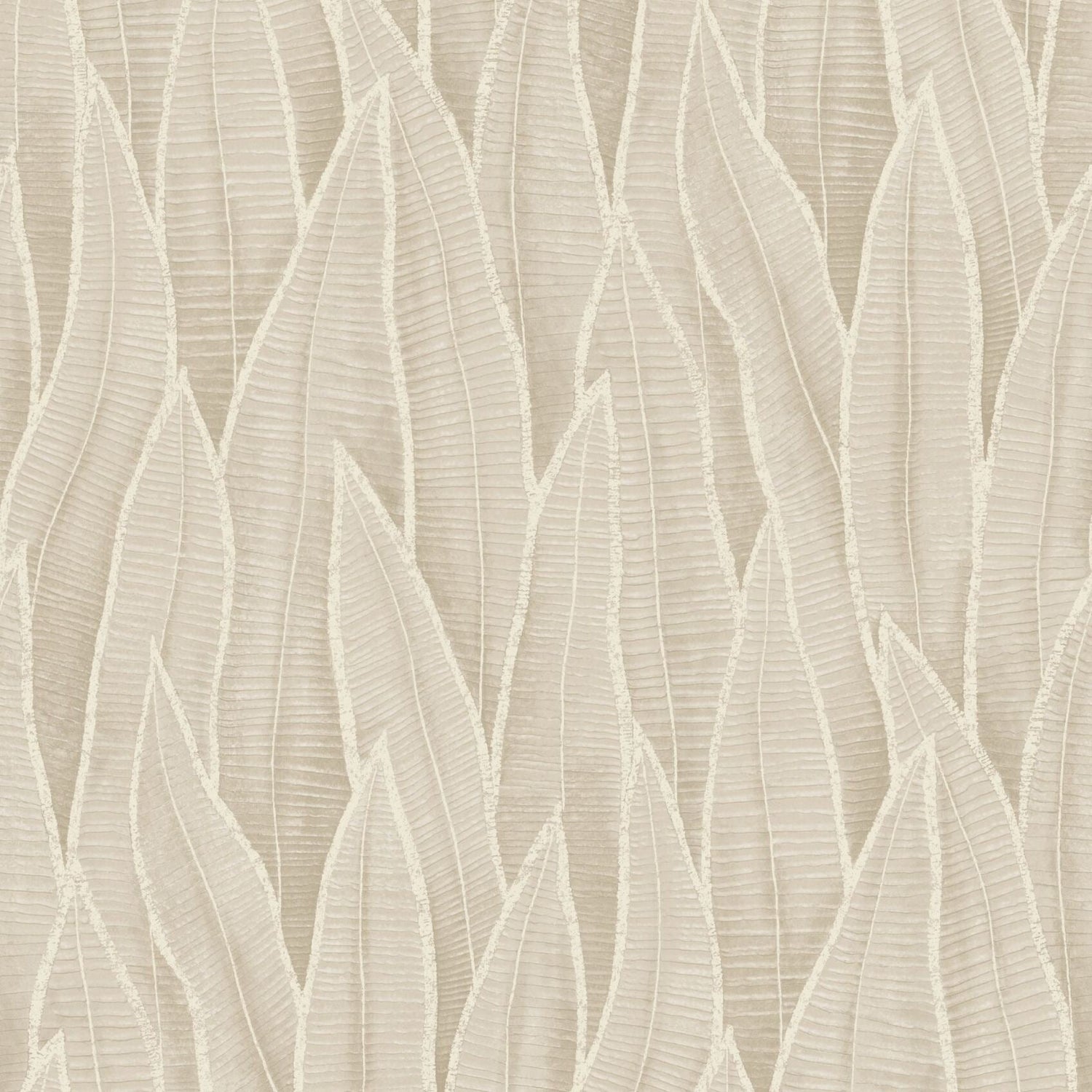 Succulent Leaves Wallpaper