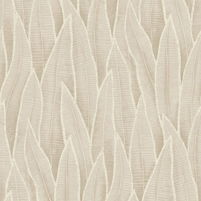 Succulent Leaves Wallpaper