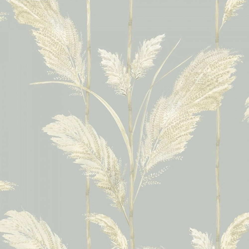 Pampas Grass Wallpaper