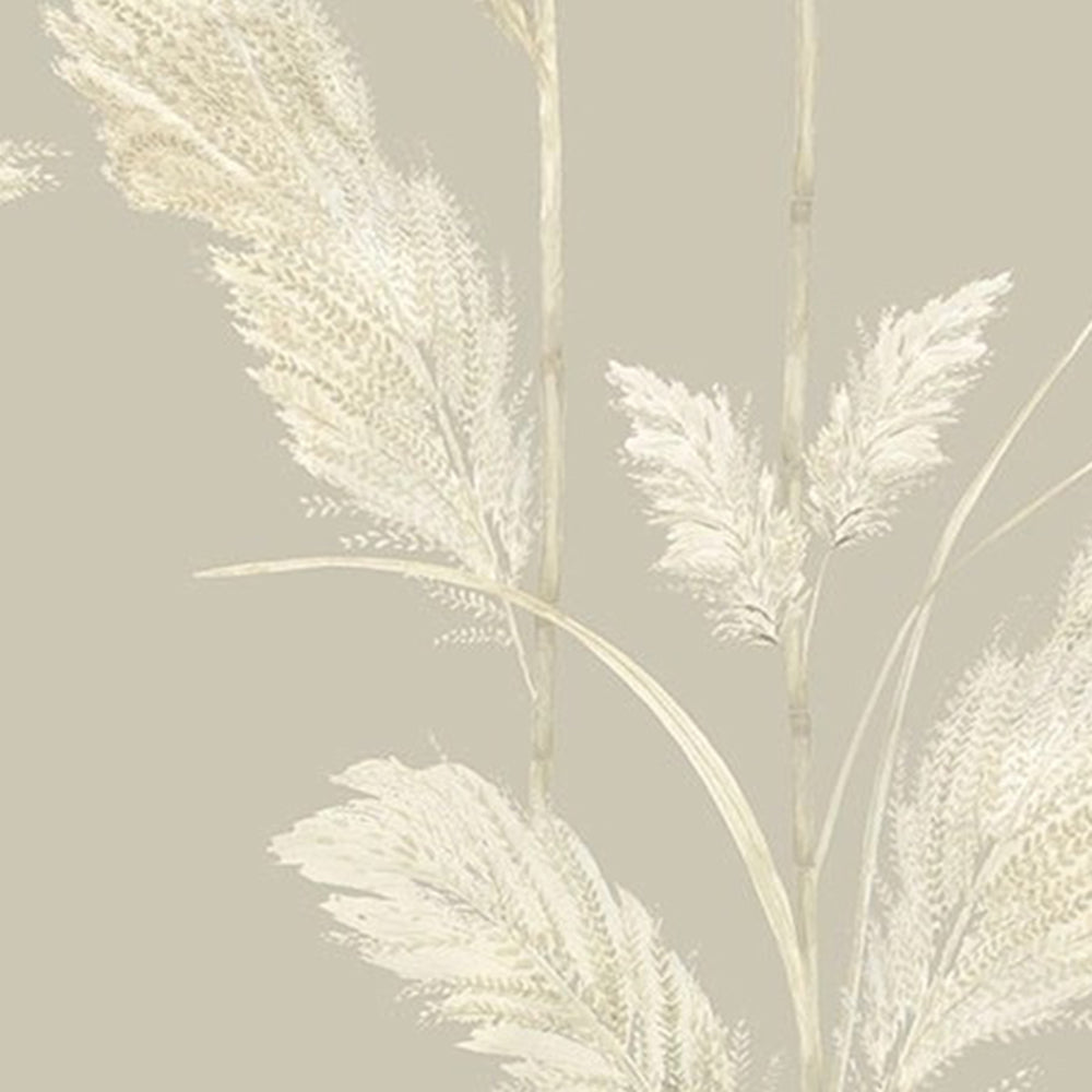 Pampas Grass Wallpaper