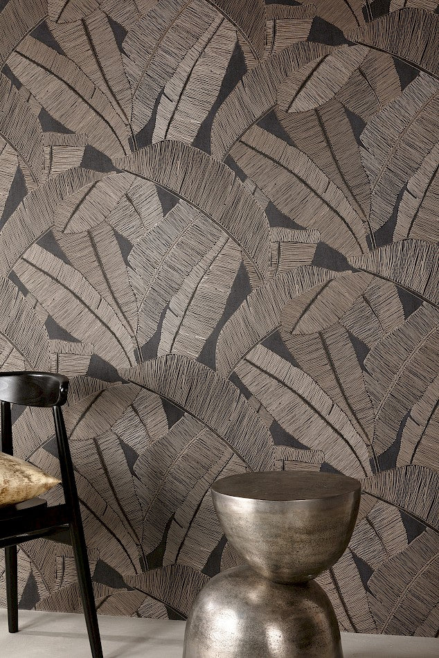 Banyan Palm Wallpaper