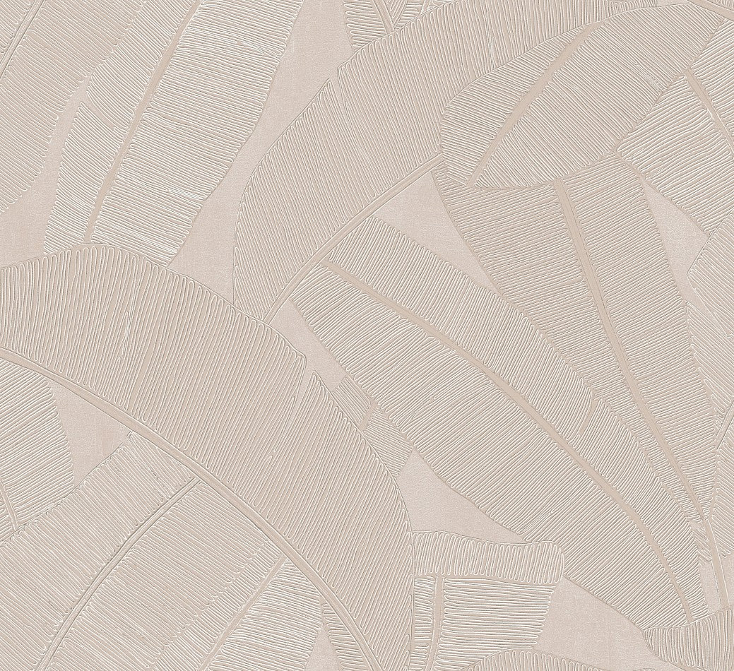 Banyan Palm Wallpaper