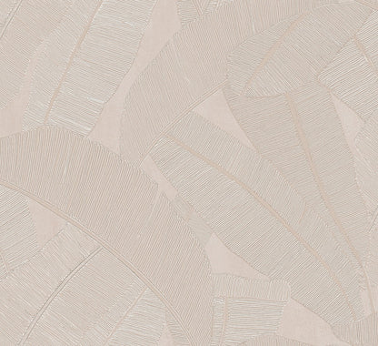 Banyan Palm Wallpaper